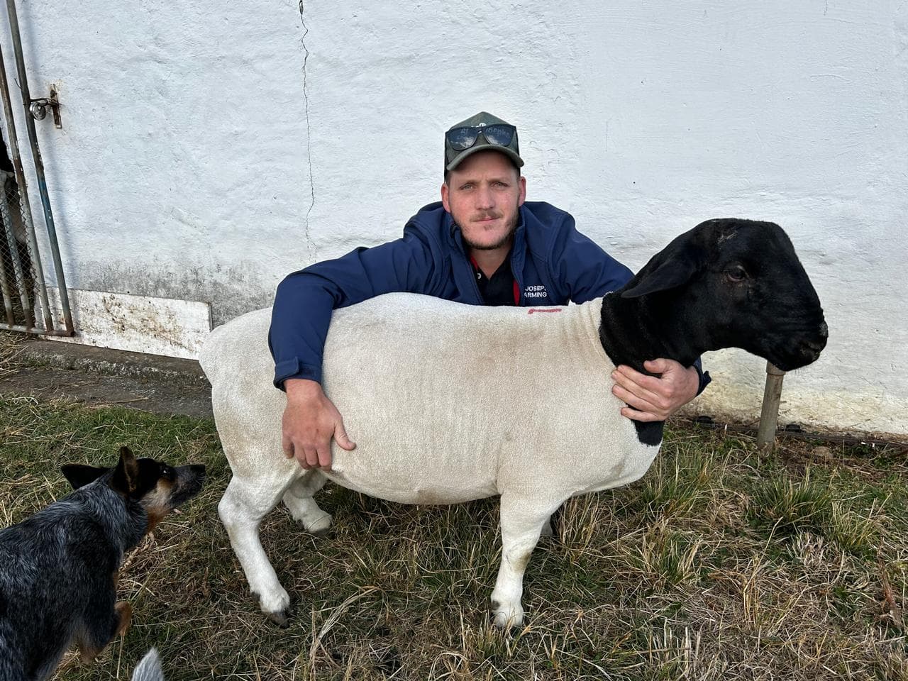SJF Dorpers owner posing with one of the farm's breeding rams
